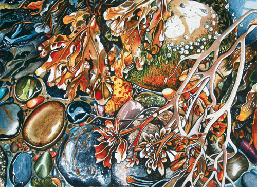 02 winter rock pool