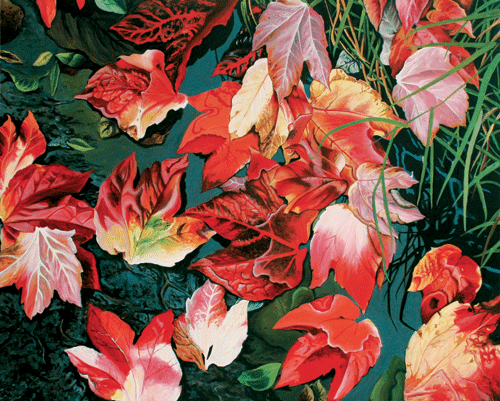 08 red leaves 1