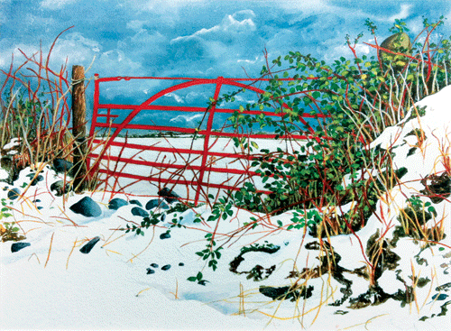 16 winter gate milgrange