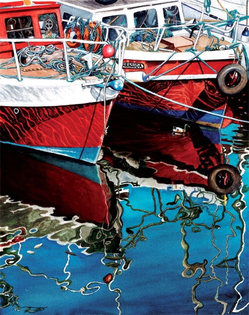 23 baracuda