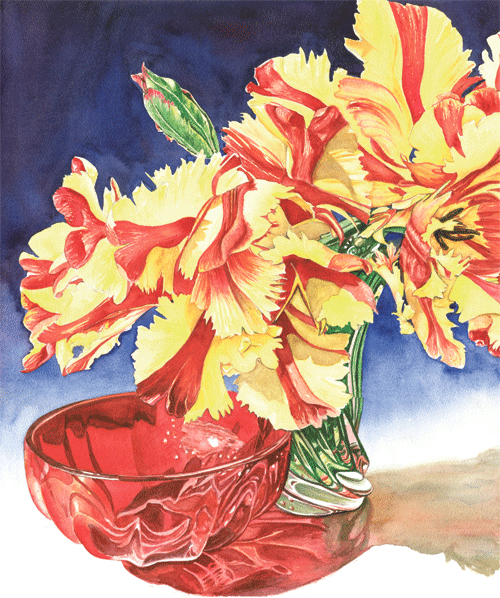 25 tulips